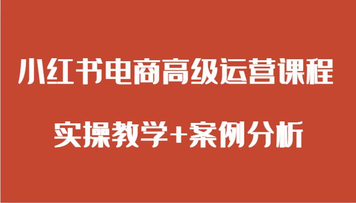 小红书电商高级运营课程 实操教学+案例分析-靠谱项目库
