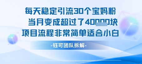 每天稳定引流30个人 当月变成超过了4个W项目流程非常简单适合小白-靠谱项目库