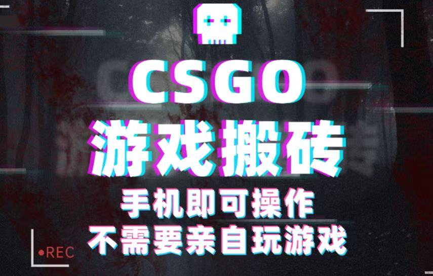 CSGO游戏挂机捡漏，单日扫货500+，年底小高峰上车可吃肉，手机即可操作兼职副业-靠谱项目库