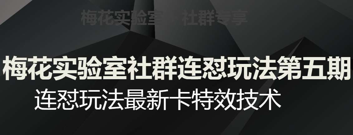 梅花实验室社群连怼玩法第五期，视频号连怼玩法最新卡特效技术-靠谱项目库