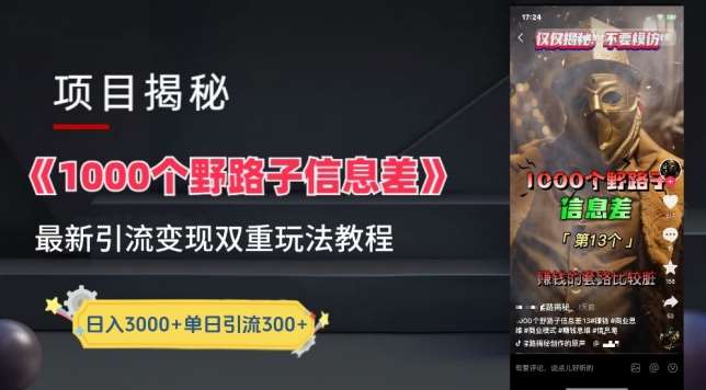 一千个野路子信息差最新玩法教程-变现+引流的玩法具体拆解【揭秘】-靠谱项目库