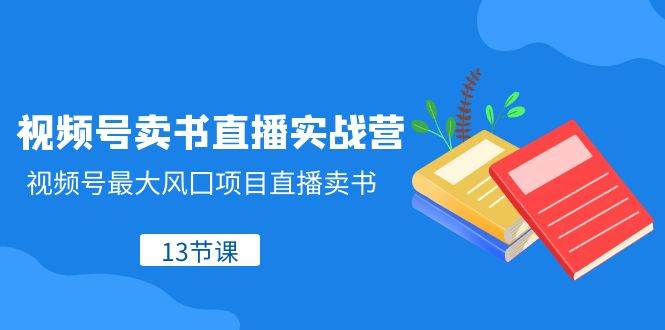 （8080期）视频号-卖书直播实战营，视频号最大风囗项目直播卖书（13节课）-靠谱项目库