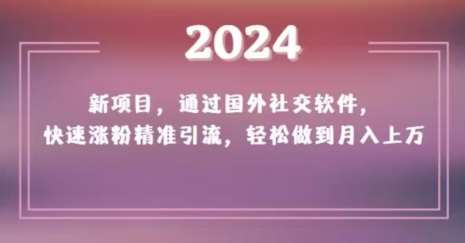 2024新项目，通过国外社交软件，快速涨粉精准引流，轻松做到月入上万【揭秘】-靠谱项目库