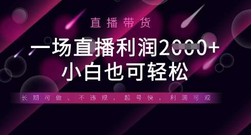 半无人直播带货，一场利润数张，适合所有平台玩法，小白也可轻松-靠谱项目库