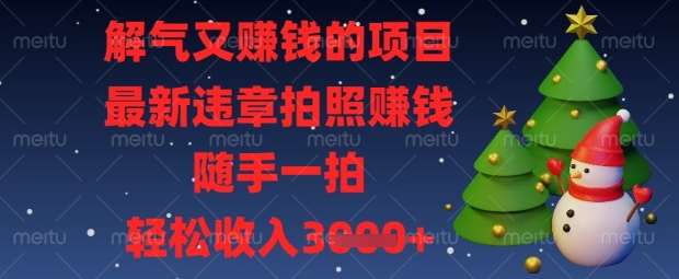 解气又挣钱的项目，最新违章拍照挣钱，随手一拍，轻松收入数张【揭秘】-靠谱项目库