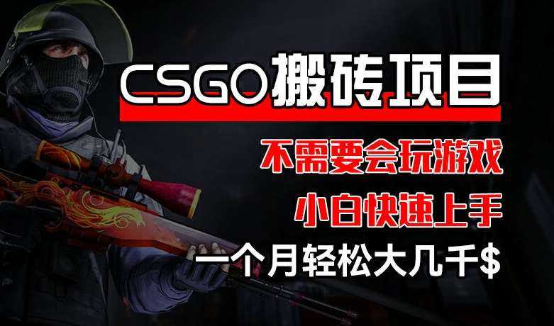 CSGO 装备搬砖项目，操作简单，不需要会玩游戏，小白也能快速上手，一个月轻松大几千【揭秘】-靠谱项目库