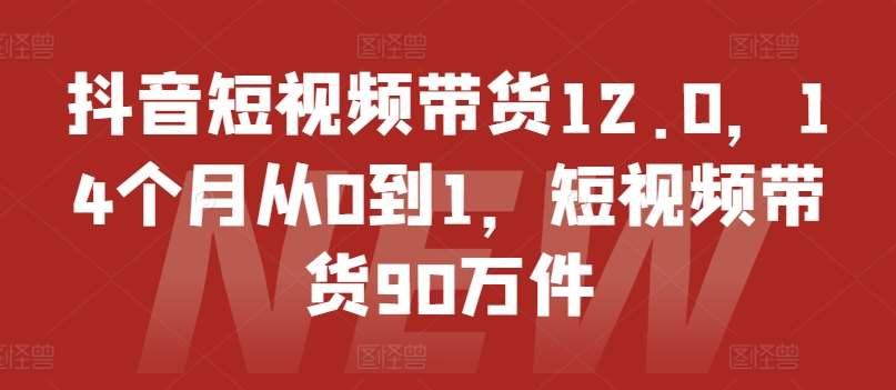 抖音短视频带货12.0，14个月从0到1，短视频带货90万件-靠谱项目库
