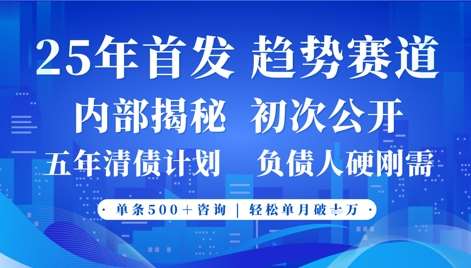 2025年首次公开，真正的事业型赛道，客咨不断，单月轻松破W-靠谱项目库
