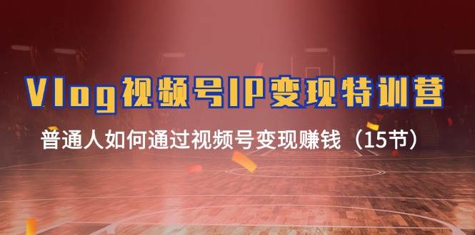 （11654期）Vlog 视频号IP变现特训营，普通人如何通过视频号变现赚钱（15节）-靠谱项目库