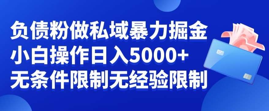 负债粉私域暴力掘金，小白操作入5000，无经验限制，无条件限制【揭秘】-靠谱项目库