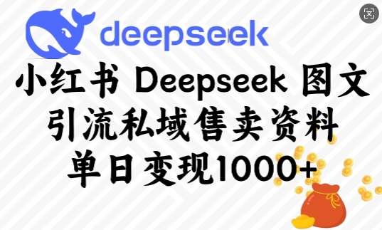 小红书Deepseek图文引流私域售卖资料，单日变现多张-靠谱项目库