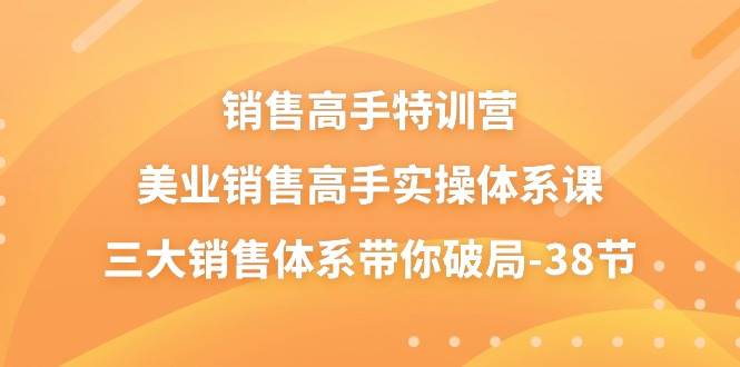 销售高手特训营，美业销售高手实操体系课，三大销售体系带你破局（38节）-靠谱项目库