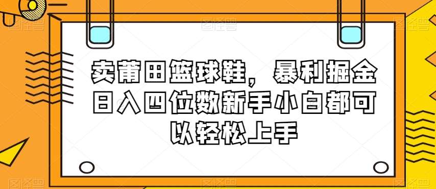 卖莆田篮球鞋，暴利掘金日入四位数新手小白都可以轻松上手【揭秘】-靠谱项目库