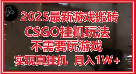 2025最新游戏搬砖，CSGO挂G，不需要玩游戏，实现真挂G，月入1W+【揭秘】-靠谱项目库