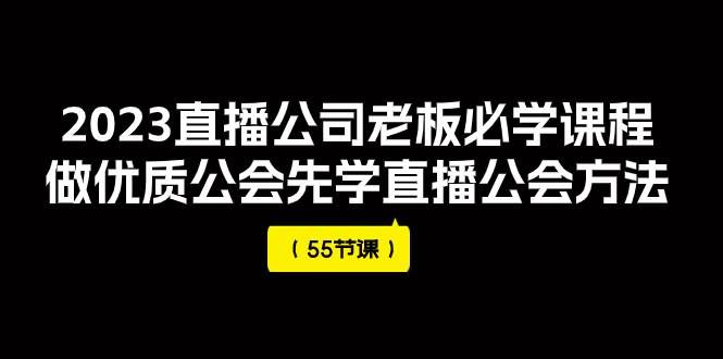 （7738期）2023直播公司老板必学课程，做优质公会先学直播公会方法（55节课）-靠谱项目库