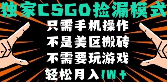 CSGO自动捡漏项目，最新独家玩法，不是美区搬砖，不需要了解和玩游戏，新手小白轻松月入1W+【揭秘】-靠谱项目库
