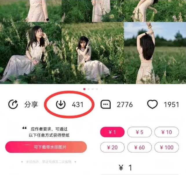 图片[2]-最新图虫搬运项目，收益无上限，利用AI小白也可日赚500+-靠谱项目库