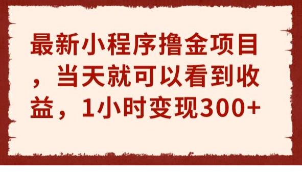 最新小程序撸金项目，当天就可以看到收益，1小时变现300+【揭秘】-靠谱项目库