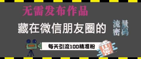 藏在微信朋友圈的流量密码，无需发布作品，单日引流100+精准创业粉【揭秘】-靠谱项目库