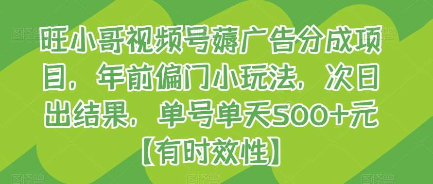 旺小哥视频号薅广告分成项目，年前偏门小玩法，次日出结果，单号单天500+元【有时效性】-靠谱项目库