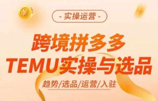 跨境拼多多TEMU实操与选品，多多temu跨境选品运营实操-靠谱项目库