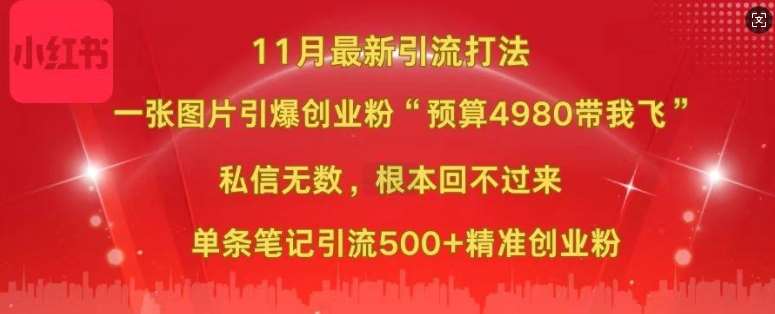 小红书11月最新图片打粉，一张图片引爆创业粉，“预算4980带我飞”，单条引流500+精准创业粉-靠谱项目库