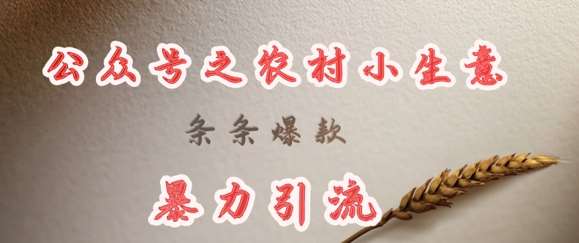 deepseek写农村小项目，条条爆款，暴力引流-靠谱项目库