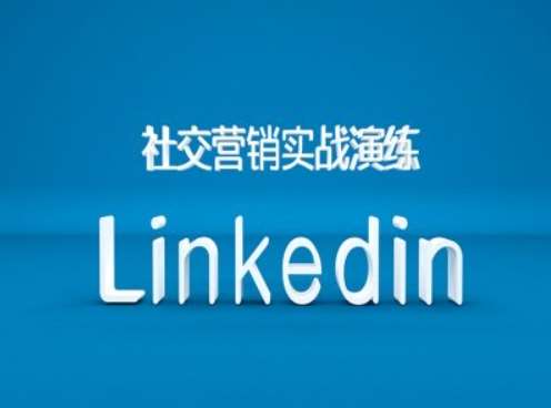 社交营销实战演练之Linkedin营销课程，B2B跨境外贸的新出路-靠谱项目库