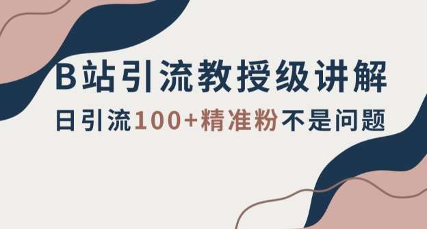 B站引流教授级讲解，细节满满，日引流100+精准粉不是问题【揭秘】-靠谱项目库