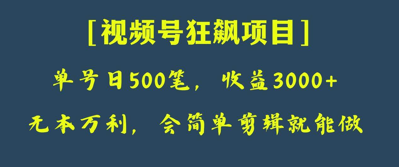 日收款500笔，纯利润3000+，视频号狂飙项目！-靠谱项目库