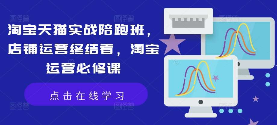 淘宝天猫实战陪跑班，店铺运营终结者，淘宝运营必修课-靠谱项目库