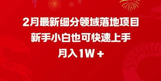 2月最新细分领域落地项目，新手小白也可快速上手，月入1W-靠谱项目库