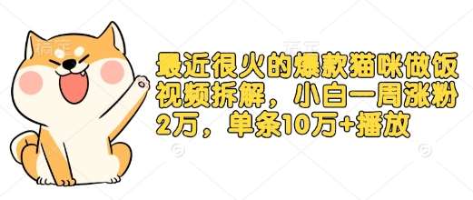 最近很火的爆款猫咪做饭视频拆解，小白一周涨粉2万，单条10万+播放(附保姆级教程)-靠谱项目库