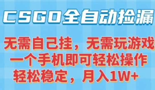 CSGO自动捡漏项目，最新独家玩法，一个手机可操作，新手小白轻松月入1W+，操作简单易上手【揭秘】-靠谱项目库