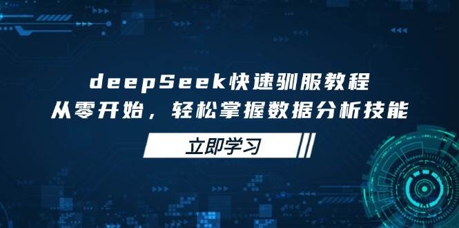（14536期）deepSeek快速驯服教程，从零开始，轻松掌握数据分析技能-靠谱项目库