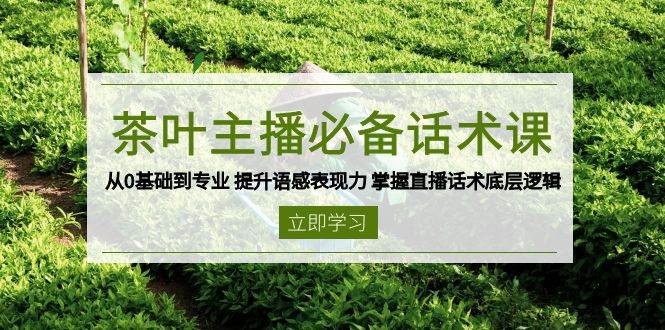 （13961期）茶叶 主播必备话术课 从0基础到专业 提升语感表现力 掌握直播话术底层逻辑-靠谱项目库