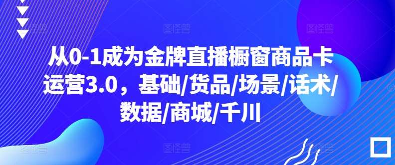 从0-1成为金牌直播橱窗商品卡运营3.0，基础/货品/场景/话术/数据/商城/千川-靠谱项目库