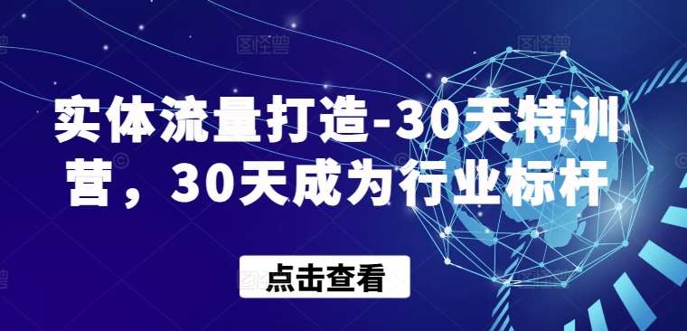 实体流量打造-30天特训营，30天成为行业标杆-靠谱项目库