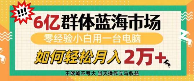 6亿群体蓝海市场，零经验小白用一台电脑，如何轻松月入过w【揭秘】-靠谱项目库