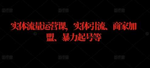 实体流量运营课，实体引流、商家加盟、暴力起号等-靠谱项目库