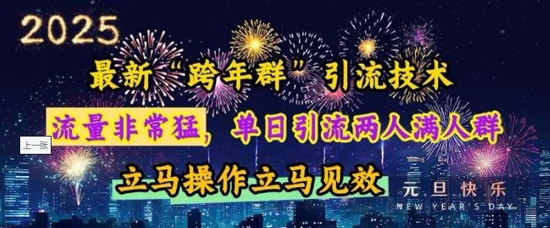 最新“跨年群”引流，流量非常猛，单日引流两人满人群，立马操作立马见效【揭秘】-靠谱项目库