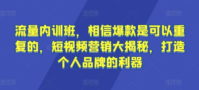 流量内训班，相信爆款是可以重复的，短视频营销大揭秘，打造个人品牌的利器-靠谱项目库