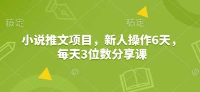 小说推文项目，新人操作6天，每天3位数分享课-靠谱项目库
