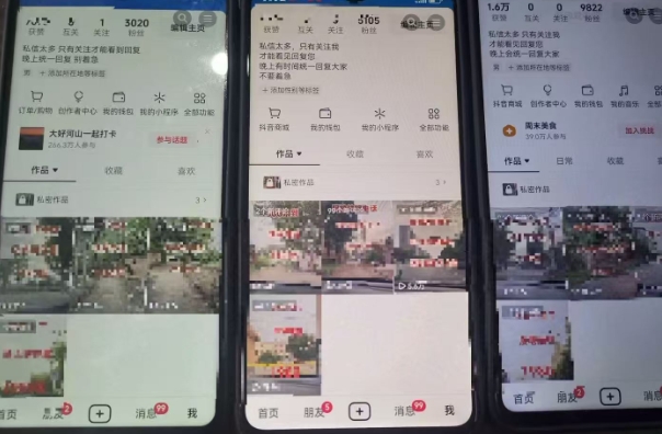 图片[2]-最新抖音起号涨粉技术，亲测2天千粉，不花一分钱，全流程拆解-靠谱项目库