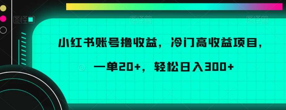 小红书账号撸收益，冷门高收益项目，一单20+，轻松日入300+【揭秘】-靠谱项目库