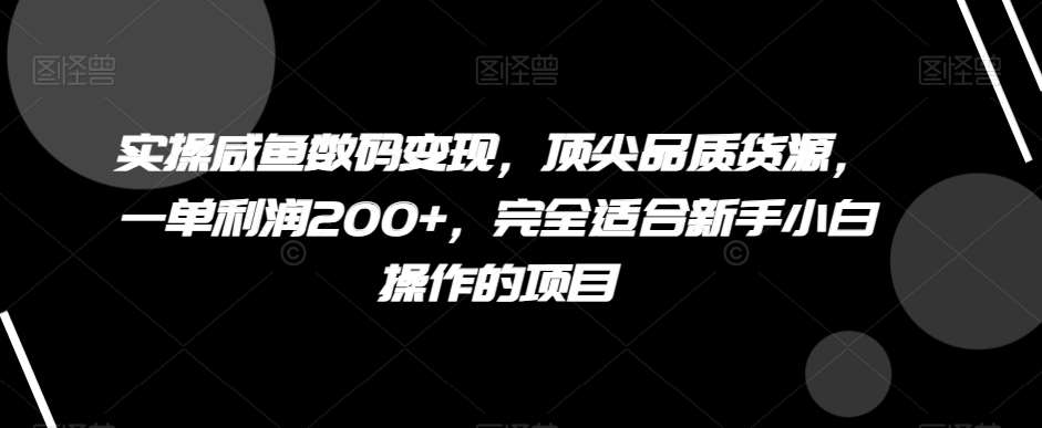 实操咸鱼数码变现，顶尖品质货源，一单利润200+，完全适合新手小白操作的项目【揭秘】-靠谱项目库