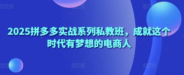 2025拼多多实战系列私教班，成就这个时代有梦想的电商人-靠谱项目库