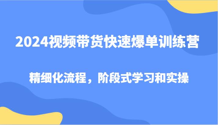 2024视频带货快速爆单训练营，精细化流程，阶段式学习和实操-靠谱项目库