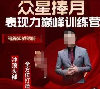 众星捧月表现力巅峰训练营，全方位打造，陪练实战赋能-靠谱项目库