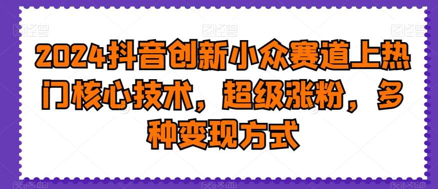 2024抖音创新小众赛道上热门核心技术，超级涨粉，多种变现方式【揭秘】-靠谱项目库